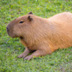 Meet your Posher, Katy